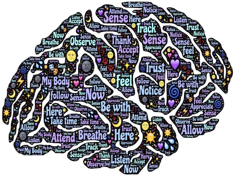 A graphic representation of a brain filled with brightly colored words, including "Observe," "Sense," "Breathe," "Attend," "Thank" and "Accept."