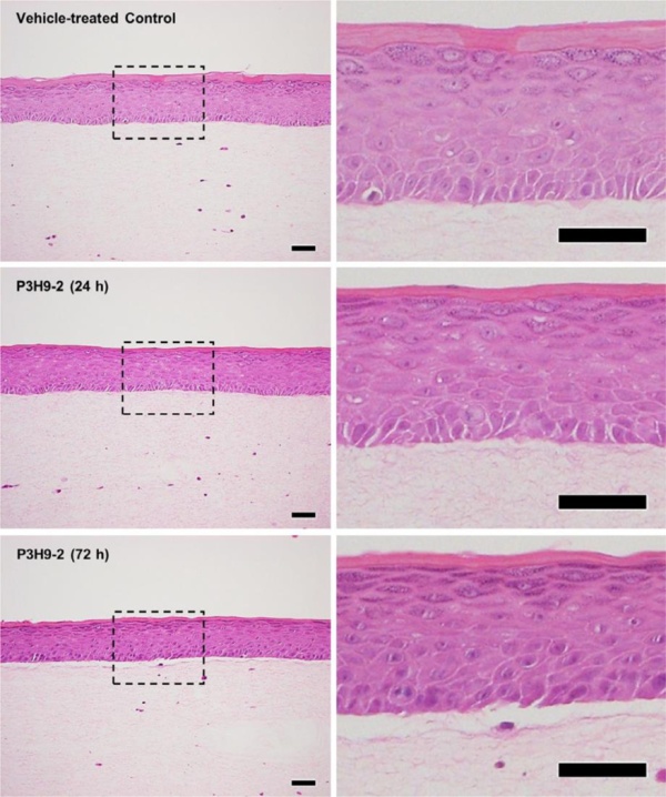 Microscope scans