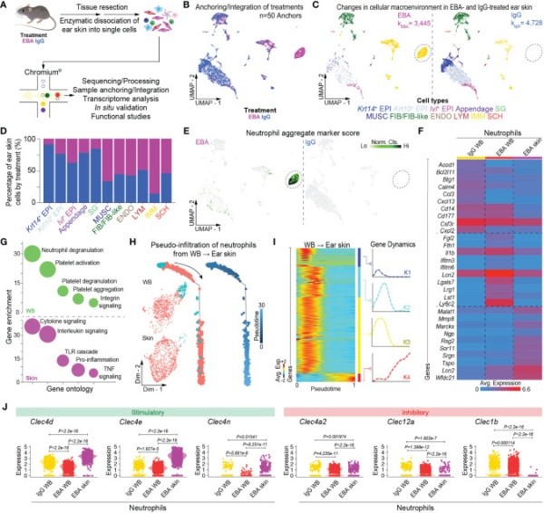 Series of charts