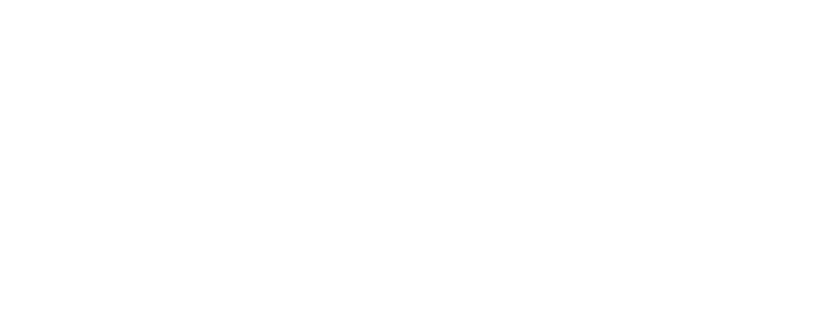 VITAL Logo_white