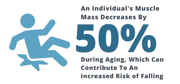 Muscle mass decrease infographic
