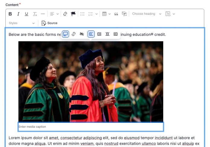 Website editor showing the caption field of an image
