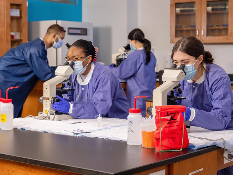 Students look through microscopes in a lab