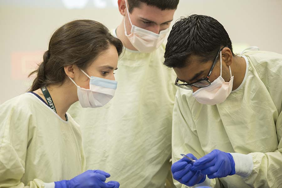 Anatomy Cell Biology - Human Anatomy Lab