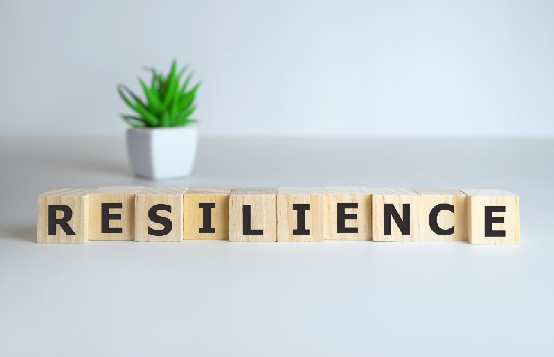 Wooden blocks spelling out the word Resilience in front of a small potted succulent plant