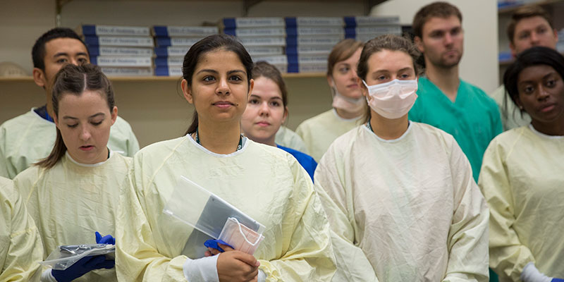 Students in the anatomy lab