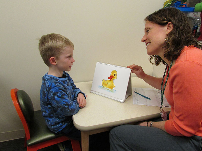 Child Language Disorders Research Communication