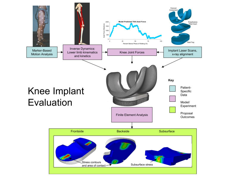 knee implant evaluation