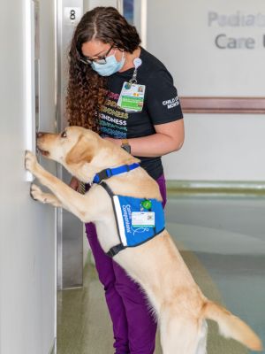 A health care worker stands outside a patient room while a retriever stands on her hind legs looking in through the window