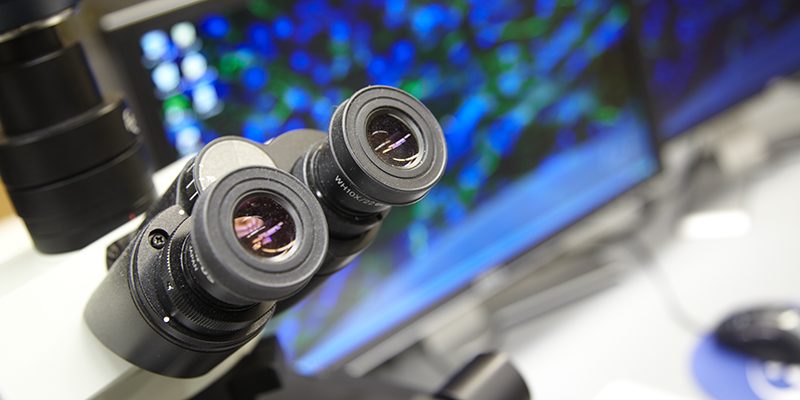 Microscope eyepiece and display monitor
