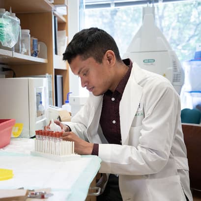 Rush Summer Research Scholar participant working in a lab