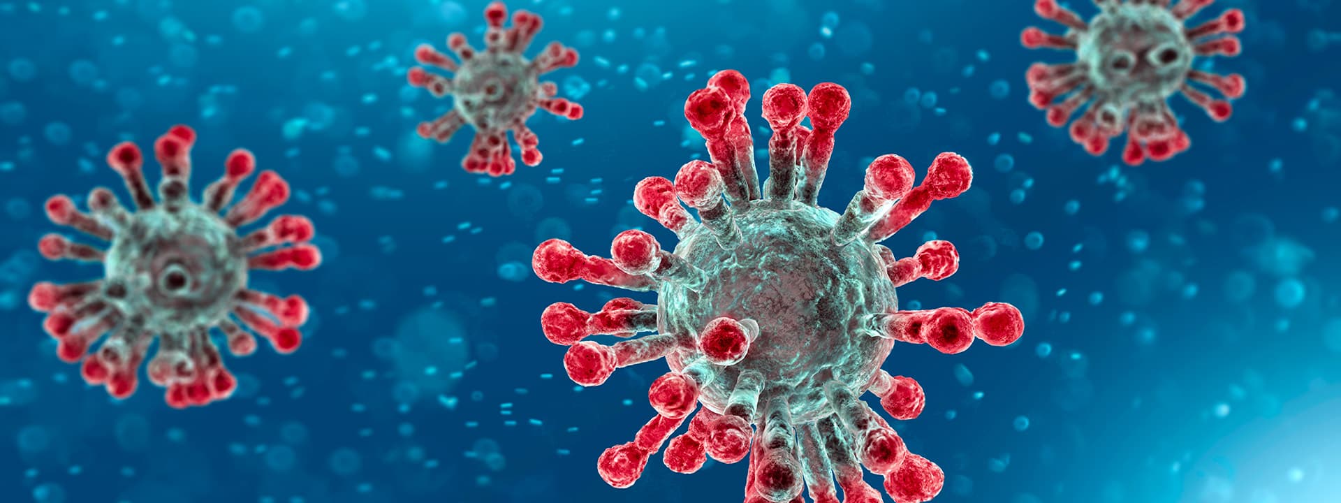 Microscopic view of coronavirus