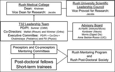 Rush Chart