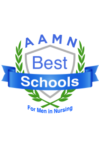 A badge displaying the name of the award "Best Schools for Men in Nursing"