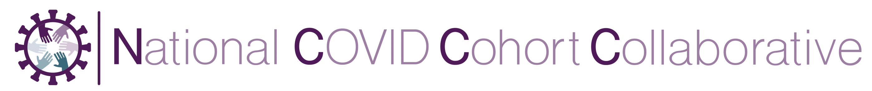 Banner text: National COVID Cohort Collaborative