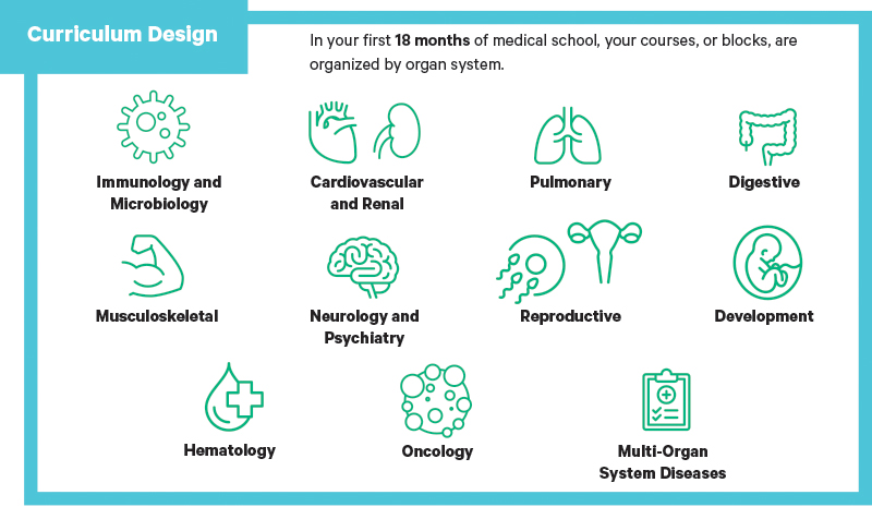 Preclerkship curriculum design