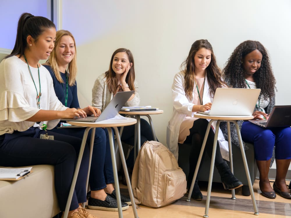 A group of students seated in a lounge looking at laptops