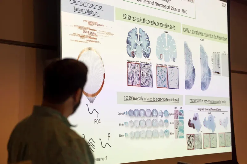 Neurological science research on a projection screen