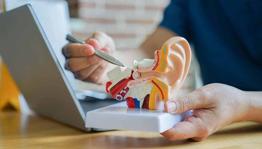 Anatomy Cell Biology - Anatomy Education