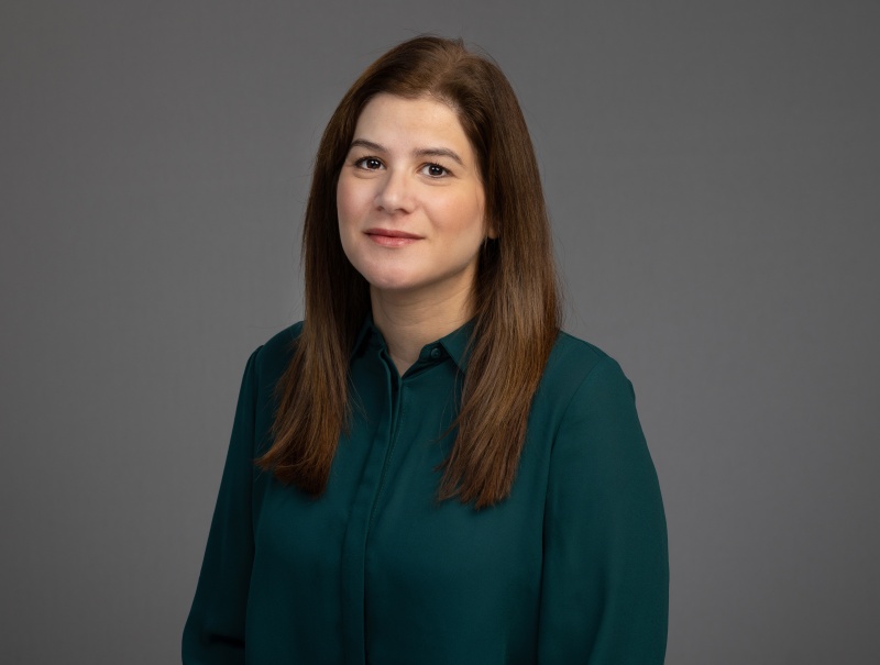 Alaa Radaideh, MD