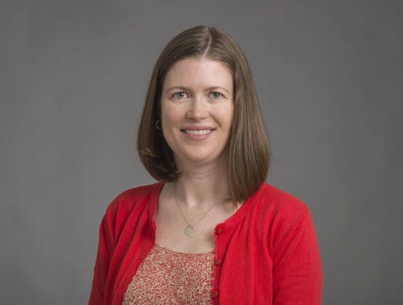 Bridget L. Voigt, MD