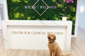 Therapy dog at the Center for Clinical Wellness