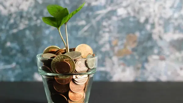 A plant in a pot filled with coins