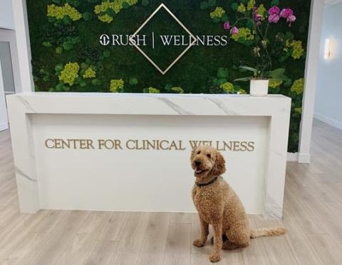 The Center for Clinical Wellness gets a visit from Summer, a certified hypoallergenic, emotional-support dog.