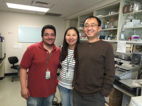 Drs. Carl Maki and Lei Duan Lab Members 2016