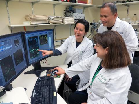 Drs. Aguilar, Yang and Ramos-Franco in Confocal Laser Scanning Microscopy Lab.