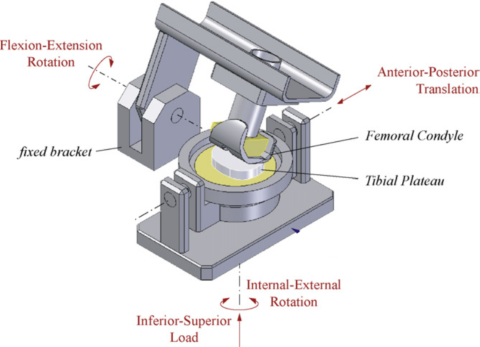 Mechanical view of the knee joint simulator.