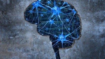 Growth Factor in Brain Tied to Slower Mental Decline