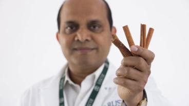 Cinnamon May Aid Learning Ability