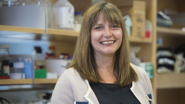 Catching a Driver of Osteoarthritis Pain