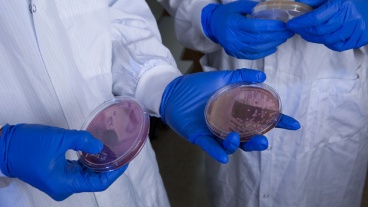 Infection Control Technique May Reduce Dangerous Infections in Patients With Catheters, Drains