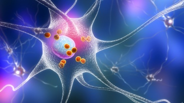 Nasal Drugs Show Promise for Slowing Parkinson’s Disease Progression in Lab Study