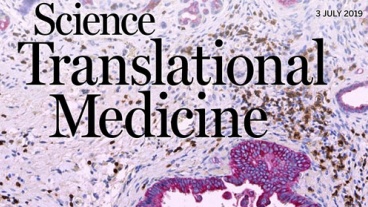 Reprogramming Pancreatic Cancer