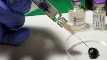 Can the Flu Shot Help Fight Cancer?