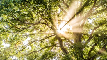 Spiritual Life Can Positively Affect Health