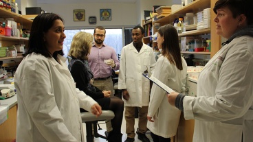 Exploring the Meth-Parkinson’s Link