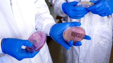 Cohn Fellowship Fosters Faculty Research 