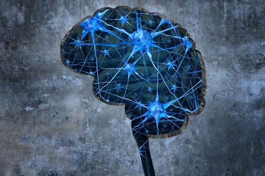 Growth Factor in Brain Tied to Slower Mental Decline