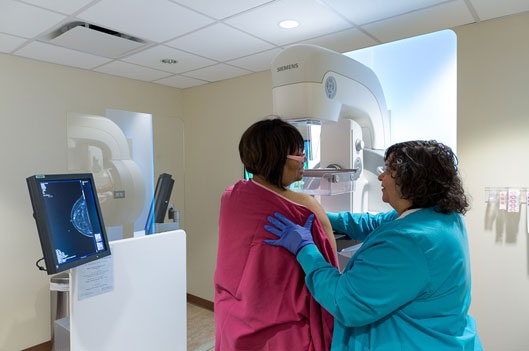 Chicago Narrows Racial Gap in Breast Cancer Deaths  
